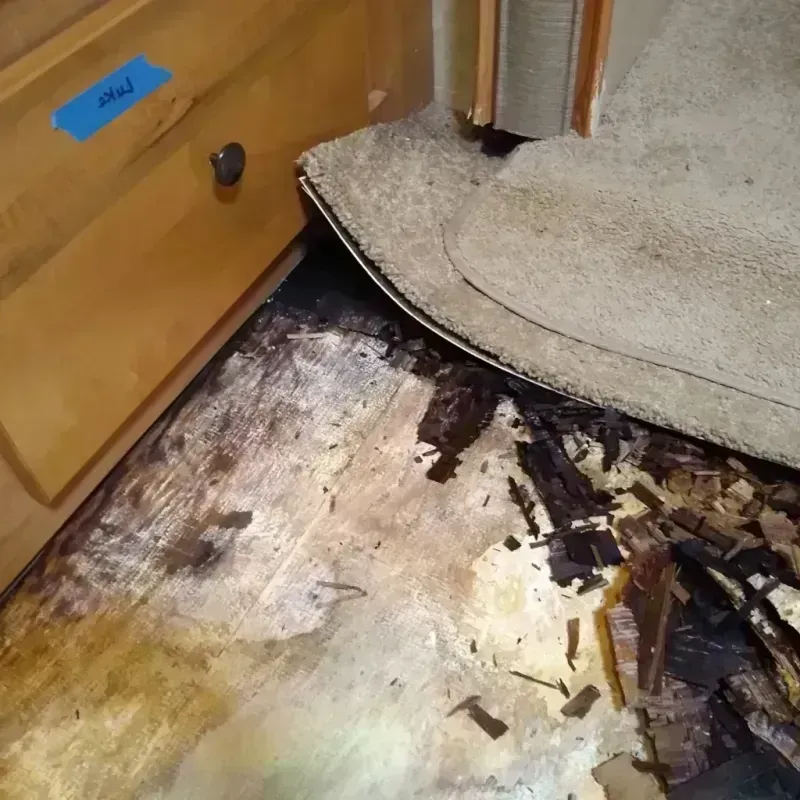 Wood Floor Water Damage in Davis County, UT